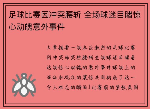 足球比赛因冲突腰斩 全场球迷目睹惊心动魄意外事件