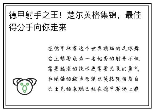 德甲射手之王！楚尔英格集锦，最佳得分手向你走来