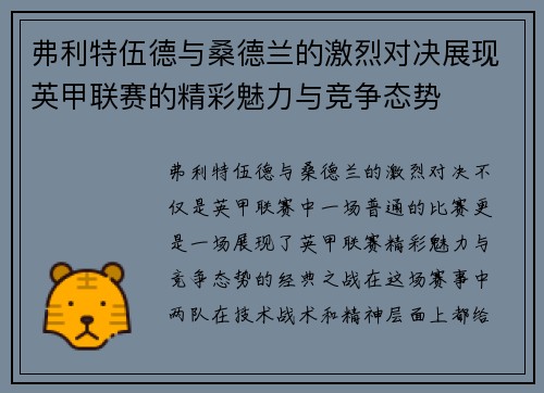 弗利特伍德与桑德兰的激烈对决展现英甲联赛的精彩魅力与竞争态势