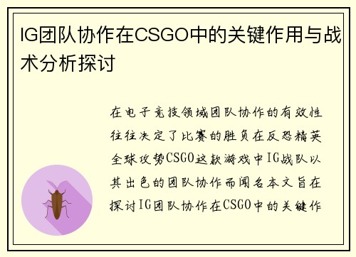 IG团队协作在CSGO中的关键作用与战术分析探讨