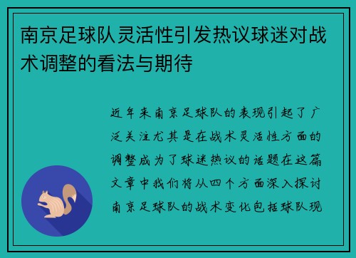 南京足球队灵活性引发热议球迷对战术调整的看法与期待