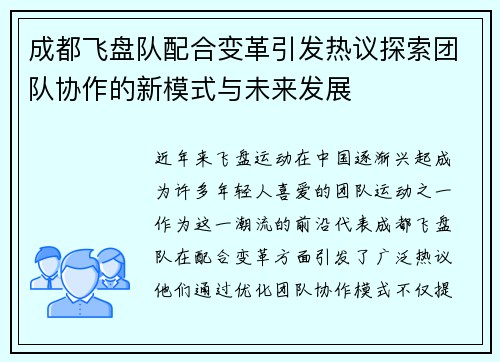 成都飞盘队配合变革引发热议探索团队协作的新模式与未来发展